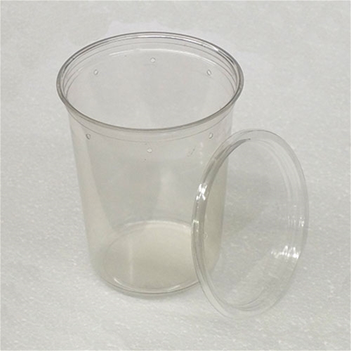 4.5 inch 32 oz Clear Punched Deli Cups with Lids