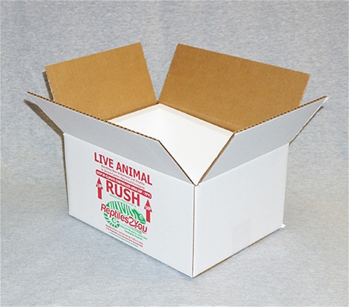 Insulated Reptile Shipping Box (12x9x6)